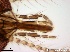  ( - TPI:ENT:#0000187)  @12 [ ] Copyright (2014) Lara E. Harrup The Pirbright Institute, Ash Road, Pirbright, Woking, Surrey, GU240NF, UK