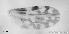  ( - TPI:ENT:#0000187)  @12 [ ] Copyright (2014) Lara E. Harrup The Pirbright Institute, Ash Road, Pirbright, Woking, Surrey, GU240NF, UK