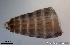  ( - TPI:ENT:#0000188)  @12 [ ] Copyright (2014) Lara E. Harrup The Pirbright Institute, Ash Road, Pirbright, Woking, Surrey, GU240NF, UK