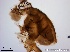  ( - TPI:ENT:#0000188)  @12 [ ] Copyright (2014) Lara E. Harrup The Pirbright Institute, Ash Road, Pirbright, Woking, Surrey, GU240NF, UK
