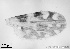  ( - TPI:ENT:#0000188)  @12 [ ] Copyright (2014) Lara E. Harrup The Pirbright Institute, Ash Road, Pirbright, Woking, Surrey, GU240NF, UK