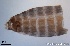  ( - TPI:ENT:#0000189)  @12 [ ] Copyright (2014) Lara E. Harrup The Pirbright Institute, Ash Road, Pirbright, Woking, Surrey, GU240NF, UK