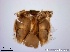 ( - TPI:ENT:#0000189)  @12 [ ] Copyright (2014) Lara E. Harrup The Pirbright Institute, Ash Road, Pirbright, Woking, Surrey, GU240NF, UK