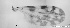  ( - TPI:ENT:#0000189)  @12 [ ] Copyright (2014) Lara E. Harrup The Pirbright Institute, Ash Road, Pirbright, Woking, Surrey, GU240NF, UK