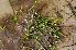  ( - 109_3)  @11 [ ] Unspecified (default): All Rights Reserved  Unspecified Unspecified