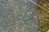  ( - 109_2)  @11 [ ] Unspecified (default): All Rights Reserved  Unspecified Unspecified