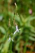  ( - 110_4)  @11 [ ] Unspecified (default): All Rights Reserved  Unspecified Unspecified