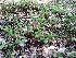  ( - 115_2)  @11 [ ] Unspecified (default): All Rights Reserved  Unspecified Unspecified