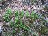  ( - 115_1)  @11 [ ] Unspecified (default): All Rights Reserved  Unspecified Unspecified