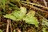 ( - 147_2)  @11 [ ] Unspecified (default): All Rights Reserved  Unspecified Unspecified