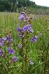  ( - 151_5)  @11 [ ] Unspecified (default): All Rights Reserved  Unspecified Unspecified