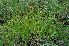  ( - 160_2)  @11 [ ] Unspecified (default): All Rights Reserved  Unspecified Unspecified