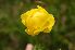  ( - 176_3)  @11 [ ] Unspecified (default): All Rights Reserved  Unspecified Unspecified