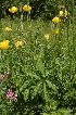  ( - 176_2)  @11 [ ] Unspecified (default): All Rights Reserved  Unspecified Unspecified