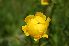  ( - 176_1)  @11 [ ] Unspecified (default): All Rights Reserved  Unspecified Unspecified