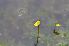  ( - 179 2)  @11 [ ] Copyright (2013) M. Lazarus UG