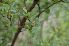  ( - 18_1)  @11 [ ] Unspecified (default): All Rights Reserved  Unspecified Unspecified