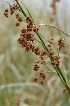  ( - 38 6)  @11 [ ] Unspecified (default): All Rights Reserved  Unspecified Unspecified