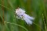  ( - 73 2)  @11 [ ] Unspecified (default): All Rights Reserved  Unspecified Unspecified
