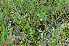  ( - 73 3)  @11 [ ] Unspecified (default): All Rights Reserved  Unspecified Unspecified