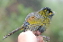  ( - B30734)  @11 [ ] CreativeCommons - Attribution Non-Commercial Share-Alike (2019) Unspecified College of Environmental Studies, National Dong Hwa University