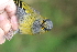  ( - B30735)  @11 [ ] CreativeCommons - Attribution Non-Commercial Share-Alike (2019) Unspecified College of Environmental Studies, National Dong Hwa University