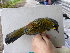  ( - B30720)  @11 [ ] CreativeCommons - Attribution Non-Commercial Share-Alike (2019) Unspecified College of Environmental Studies, National Dong Hwa University