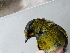  ( - B30720)  @11 [ ] CreativeCommons - Attribution Non-Commercial Share-Alike (2019) Unspecified College of Environmental Studies, National Dong Hwa University
