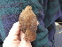 ( - K41559)  @11 [ ] CreativeCommons - Attribution Non-Commercial Share-Alike (2019) Unspecified College of Environmental Studies, National Dong Hwa University