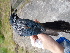  ( - C46334)  @11 [ ] CreativeCommons - Attribution Non-Commercial Share-Alike (2019) Unspecified College of Environmental Studies, National Dong Hwa University