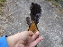  ( - C46334)  @11 [ ] CreativeCommons - Attribution Non-Commercial Share-Alike (2019) Unspecified College of Environmental Studies, National Dong Hwa University