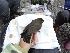  ( - K43268)  @11 [ ] CreativeCommons - Attribution Non-Commercial Share-Alike (2019) Unspecified College of Environmental Studies, National Dong Hwa University