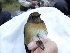  ( - K43268)  @11 [ ] CreativeCommons - Attribution Non-Commercial Share-Alike (2019) Unspecified College of Environmental Studies, National Dong Hwa University