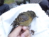  ( - K43268)  @11 [ ] CreativeCommons - Attribution Non-Commercial Share-Alike (2019) Unspecified College of Environmental Studies, National Dong Hwa University