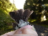  ( - K43271)  @11 [ ] CreativeCommons - Attribution Non-Commercial Share-Alike (2019) Unspecified College of Environmental Studies, National Dong Hwa University