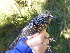  ( - A36245)  @11 [ ] CreativeCommons - Attribution Non-Commercial Share-Alike (2019) Unspecified College of Environmental Studies, National Dong Hwa University