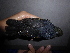 ( - A36275)  @11 [ ] CreativeCommons - Attribution Non-Commercial Share-Alike (2019) Unspecified College of Environmental Studies, National Dong Hwa University