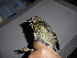  ( - K43793)  @11 [ ] CreativeCommons - Attribution Non-Commercial Share-Alike (2019) Unspecified College of Environmental Studies, National Dong Hwa University