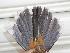  ( - C47052)  @11 [ ] CreativeCommons - Attribution Non-Commercial Share-Alike (2019) Unspecified College of Environmental Studies, National Dong Hwa University