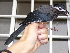  ( - C47074)  @11 [ ] CreativeCommons - Attribution Non-Commercial Share-Alike (2019) Unspecified College of Environmental Studies, National Dong Hwa University