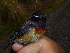  ( - K44918)  @11 [ ] CreativeCommons - Attribution Non-Commercial Share-Alike (2019) Unspecified College of Environmental Studies, National Dong Hwa University
