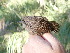  ( - K45801)  @11 [ ] CreativeCommons - Attribution Non-Commercial Share-Alike (2019) Unspecified College of Environmental Studies, National Dong Hwa University