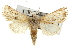  ( - BIOUG07541-A06)  @14 [ ] CreativeCommons - Attribution (2013) CBG Photography Group Centre for Biodiversity Genomics