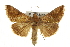  ( - BIOUG07541-B02)  @15 [ ] CreativeCommons - Attribution (2013) CBG Photography Group Centre for Biodiversity Genomics