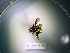  ( - BIOUG56423-F08)  @11 [ ] CreativeCommons Attribution (2023) Department of Invertebrate Zoology and Hydrobiology Department of Invertebrate Zoology and Hydrobiology