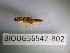  ( - BIOUG56542-B02)  @11 [ ] CreativeCommons Attribution (2023) Department of Invertebrate Zoology and Hydrobiology Department of Invertebrate Zoology and Hydrobiology