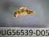  ( - BIOUG56539-D05)  @11 [ ] CreativeCommons Attribution (2023) Department of Invertebrate Zoology and Hydrobiology Department of Invertebrate Zoology and Hydrobiology