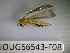  ( - BIOUG56543-F08)  @11 [ ] CreativeCommons Attribution (2023) Department of Invertebrate Zoology and Hydrobiology Department of Invertebrate Zoology and Hydrobiology