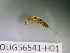  ( - BIOUG56541-H01)  @11 [ ] CreativeCommons Attribution (2023) Department of Invertebrate Zoology and Hydrobiology Department of Invertebrate Zoology and Hydrobiology