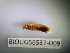  ( - BIOUG56537-D09)  @11 [ ] CreativeCommons Attribution (2023) Department of Invertebrate Zoology and Hydrobiology Department of Invertebrate Zoology and Hydrobiology